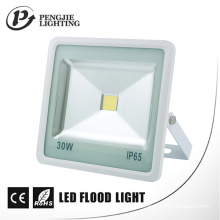 Die-Casting Aluminium Housing Corrosion Resistant 30W LED Flood Lamps